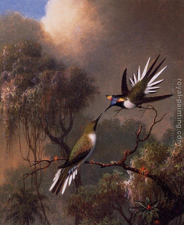 Martin Johnson Heade : Two Sun Gems on a Branch Martin Johnson Heade : Two Sun Gems on a Branch
